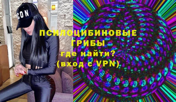 индика Дмитров
