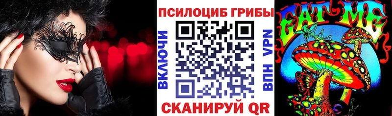 MEGA как зайти  Верхнеуральск  Псилоцибиновые грибы Cubensis 